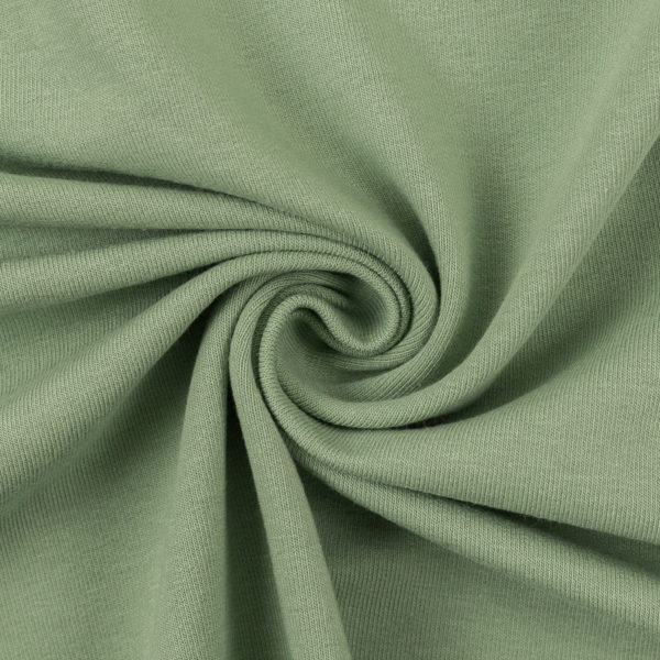 Sweat French Terry angeraut Swafing Eike mint 601