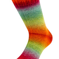 Meilenweit 100 4-fädig Color Mix Multi 100g 8004 – Bild 3