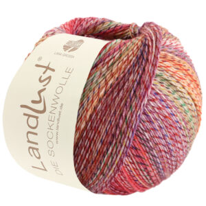 Landlust Die Sockenwolle 4-fädig 100g Print 211