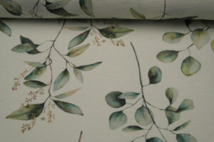 Baumwolle beschichtet Eukalyptus auf weiß